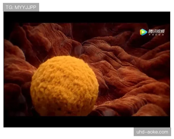 纪录片《 Bayern - Inside 》第三季上线，揭秘更衣室瞬间